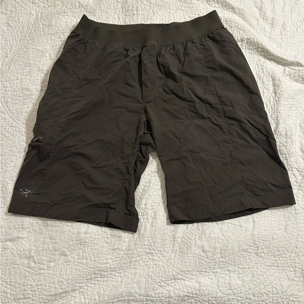 Arc'teryx Performance Shorts